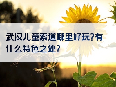 武汉儿童索道哪里好玩？有什么特色之处？