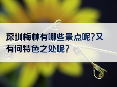 深圳梅林有哪些景点呢？又有何特色之处呢？