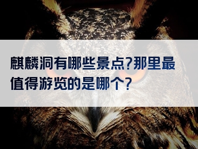 麒麟洞有哪些景点？那里最值得游览的是哪个？