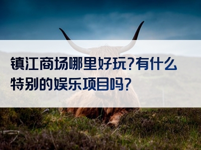 镇江商场哪里好玩？有什么特别的娱乐项目吗？