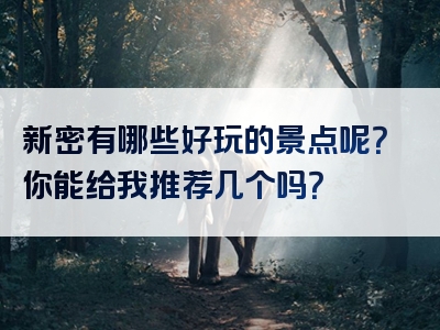 新密有哪些好玩的景点呢？你能给我推荐几个吗？