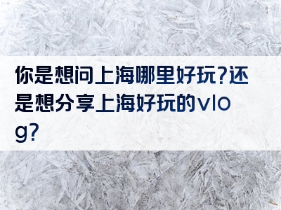 你是想问上海哪里好玩？还是想分享上海好玩的vlog？