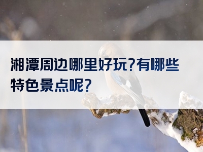 湘潭周边哪里好玩？有哪些特色景点呢？