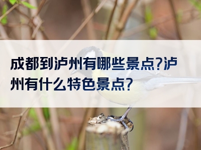 成都到泸州有哪些景点？泸州有什么特色景点？