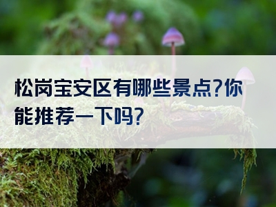 松岗宝安区有哪些景点？你能推荐一下吗？