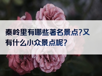 秦岭里有哪些著名景点？又有什么小众景点呢？