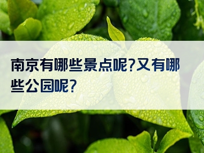 南京有哪些景点呢？又有哪些公园呢？