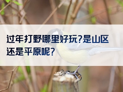 过年打野哪里好玩？是山区还是平原呢？