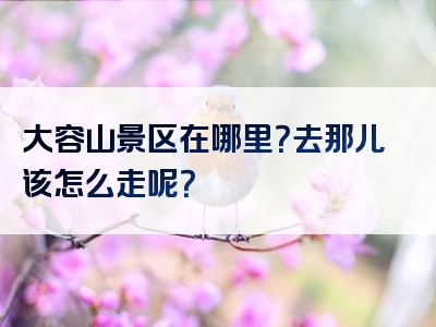 大容山景区在哪里？去那儿该怎么走呢？