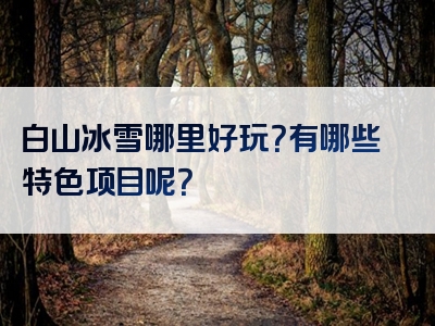 白山冰雪哪里好玩？有哪些特色项目呢？