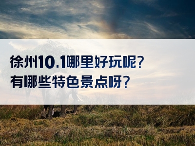 徐州10.1哪里好玩呢？有哪些特色景点呀？