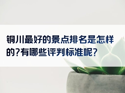 铜川最好的景点排名是怎样的？有哪些评判标准呢？