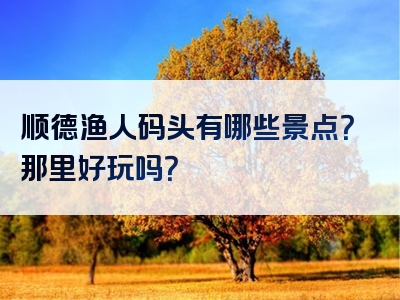 顺德渔人码头有哪些景点？那里好玩吗？