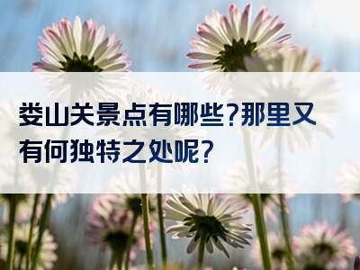 娄山关景点有哪些？那里又有何独特之处呢？