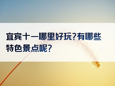 宜宾十一哪里好玩？有哪些特色景点呢？