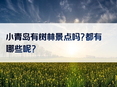 小青岛有树林景点吗？都有哪些呢？