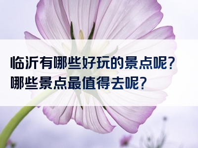 临沂有哪些好玩的景点呢？哪些景点最值得去呢？