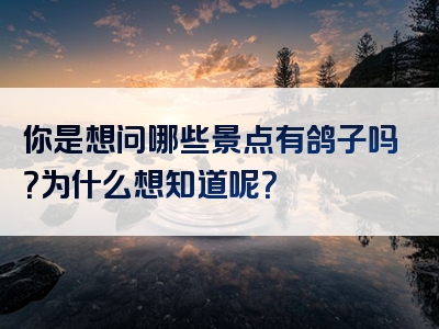 你是想问哪些景点有鸽子吗？为什么想知道呢？