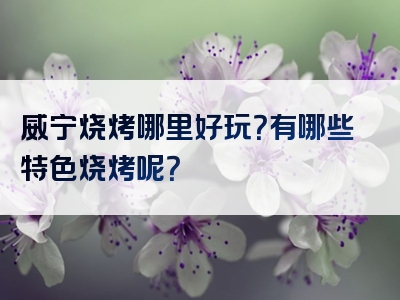 威宁烧烤哪里好玩？有哪些特色烧烤呢？