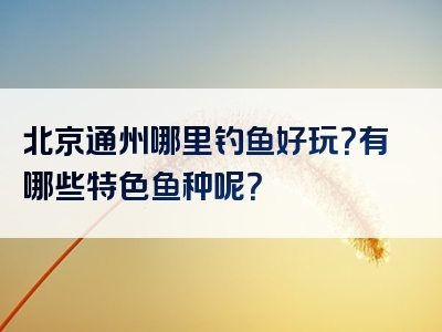 北京通州哪里钓鱼好玩？有哪些特色鱼种呢？