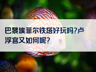 巴黎埃菲尔铁塔好玩吗？卢浮宫又如何呢？