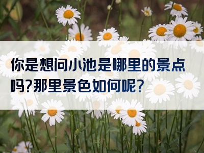 你是想问小池是哪里的景点吗？那里景色如何呢？