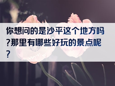 你想问的是沙平这个地方吗？那里有哪些好玩的景点呢？