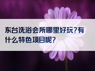 东台洗浴会所哪里好玩？有什么特色项目呢？