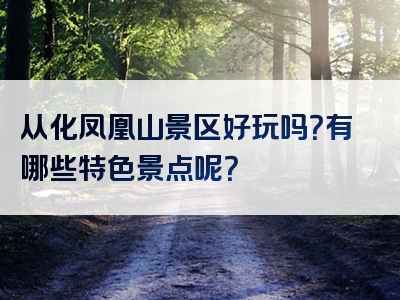 从化凤凰山景区好玩吗？有哪些特色景点呢？