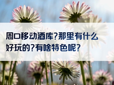 周口移动酒库？那里有什么好玩的？有啥特色呢？