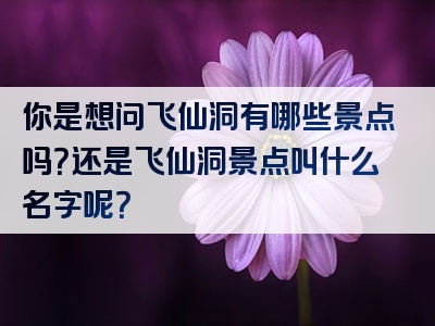 你是想问飞仙洞有哪些景点吗？还是飞仙洞景点叫什么名字呢？