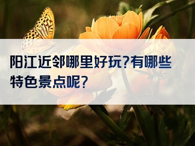 阳江近邻哪里好玩？有哪些特色景点呢？