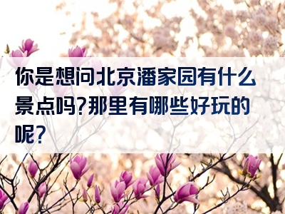 你是想问北京潘家园有什么景点吗？那里有哪些好玩的呢？