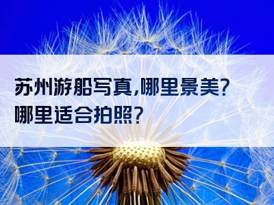 苏州游船写真，哪里景美？哪里适合拍照？