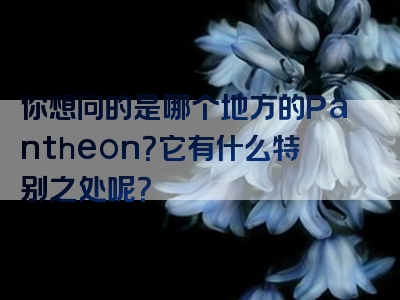 你想问的是哪个地方的Pantheon？它有什么特别之处呢？