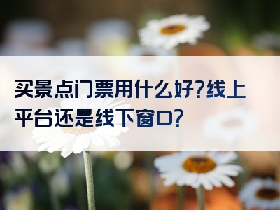 买景点门票用什么好？线上平台还是线下窗口？