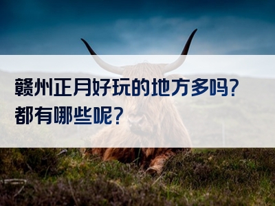 赣州正月好玩的地方多吗？都有哪些呢？