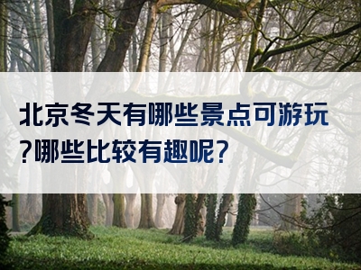 北京冬天有哪些景点可游玩？哪些比较有趣呢？