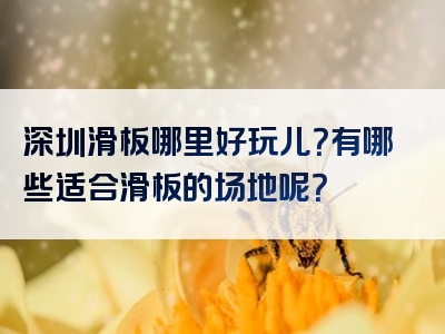 深圳滑板哪里好玩儿？有哪些适合滑板的场地呢？