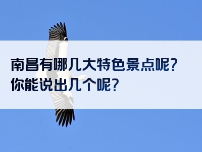 南昌有哪几大特色景点呢？你能说出几个呢？