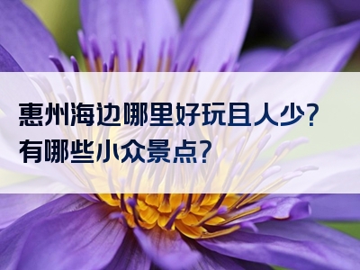 惠州海边哪里好玩且人少？有哪些小众景点？