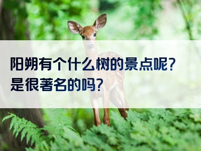 阳朔有个什么树的景点呢？是很著名的吗？