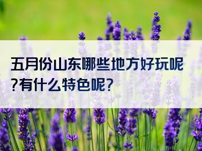 五月份山东哪些地方好玩呢？有什么特色呢？