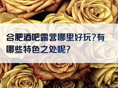 合肥酒吧露营哪里好玩？有哪些特色之处呢？