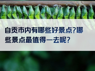 自贡市内有哪些好景点？哪些景点最值得一去呢？