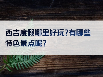 西吉度假哪里好玩？有哪些特色景点呢？