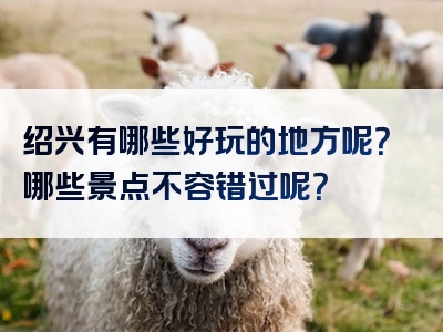 绍兴有哪些好玩的地方呢？哪些景点不容错过呢？