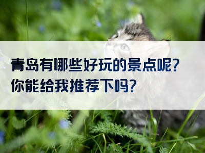 青岛有哪些好玩的景点呢？你能给我推荐下吗？