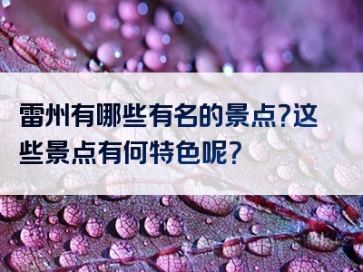 雷州有哪些有名的景点？这些景点有何特色呢？