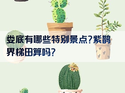 娄底有哪些特别景点？紫鹊界梯田算吗？